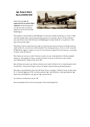A preview of a PDF biography for Storey, Robert Albert
